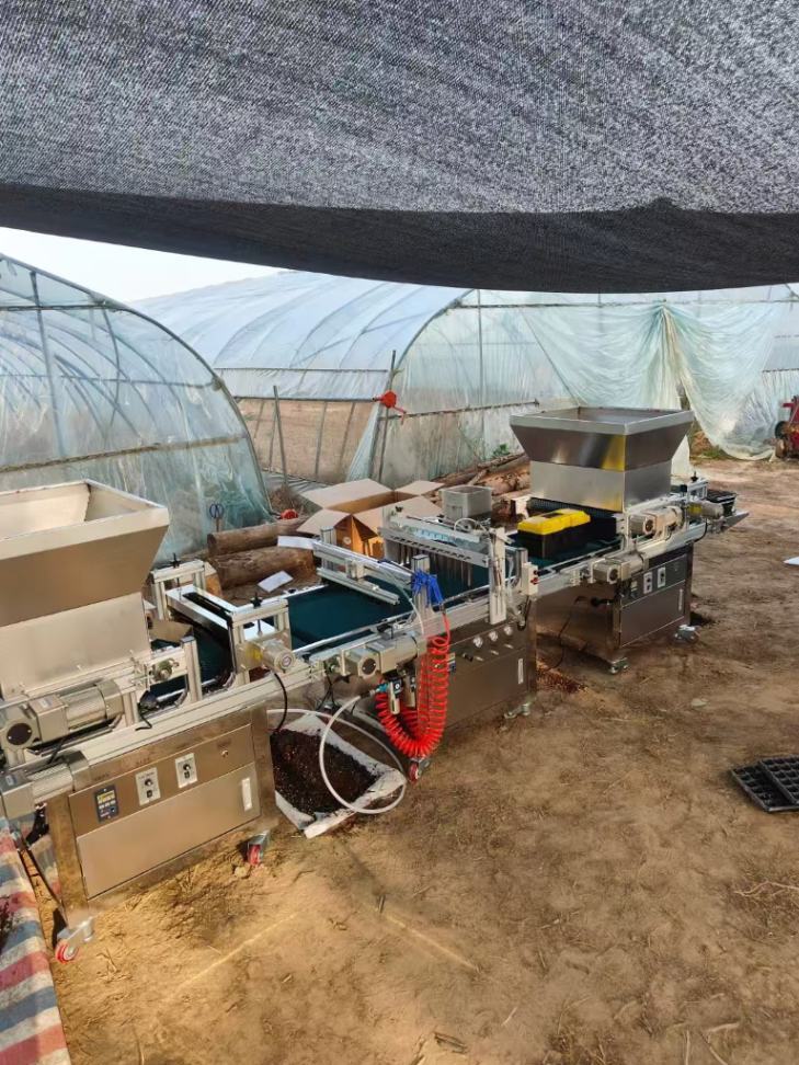 Greenhouse Vegetable Nursery M - огляд і ціна Nursery