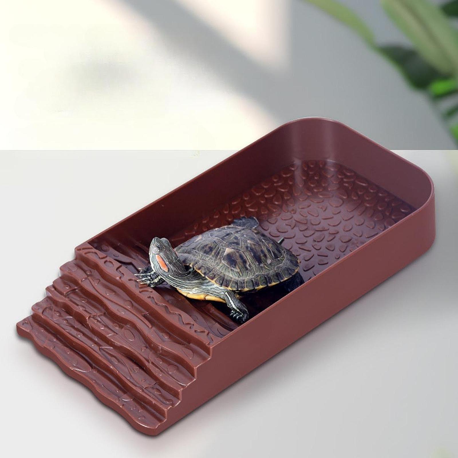 Large Turtle Water Dish Reptil - огляд і ціна Feeding